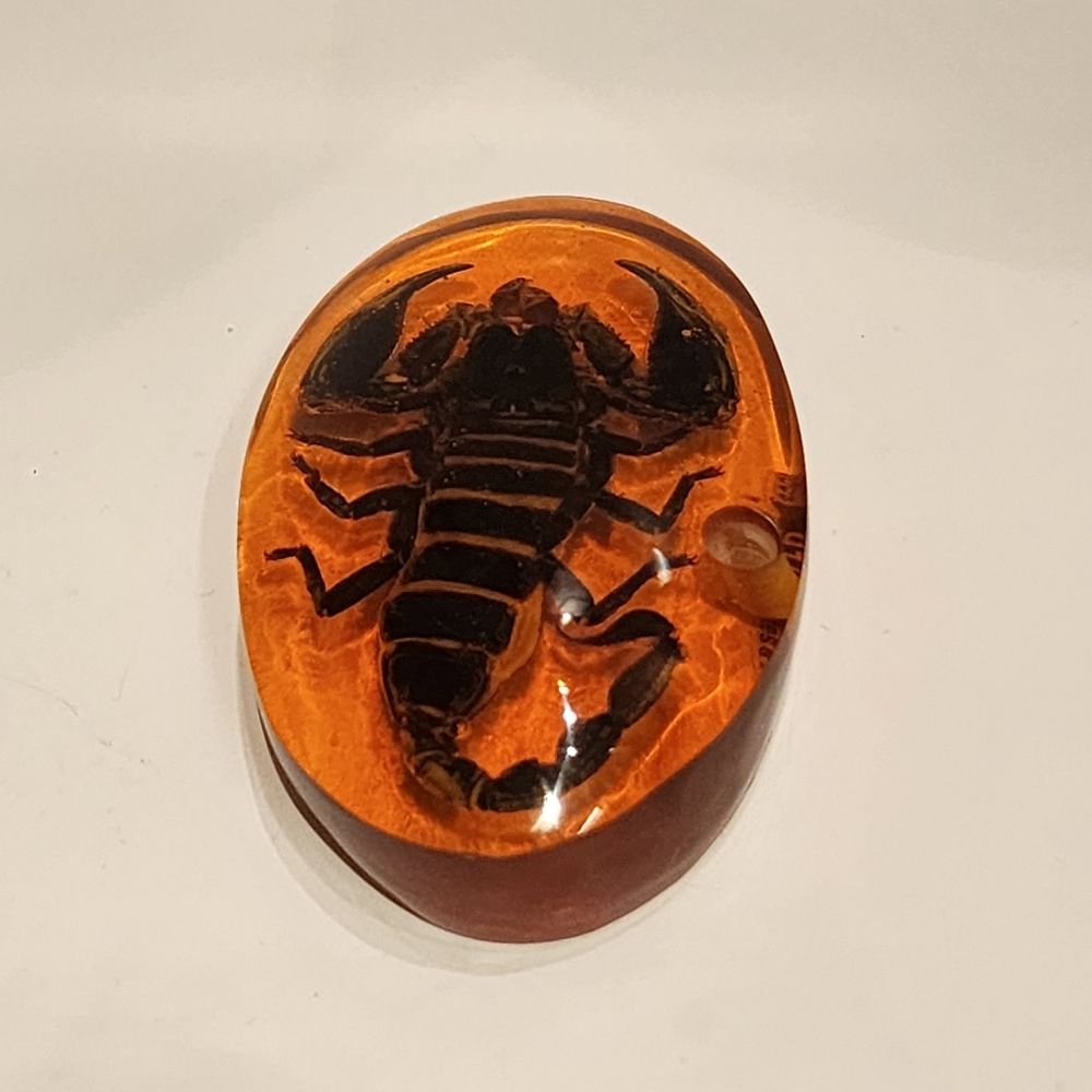 Scorpion Pen Holder